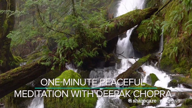 One-Minute Peaceful Meditation with Deepak Chopra
