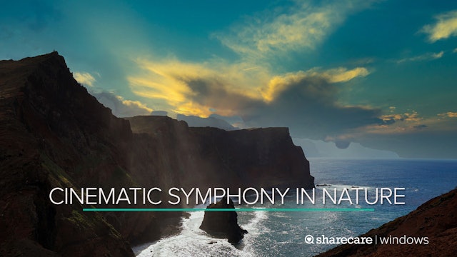 Cinematic Symphony in Nature 