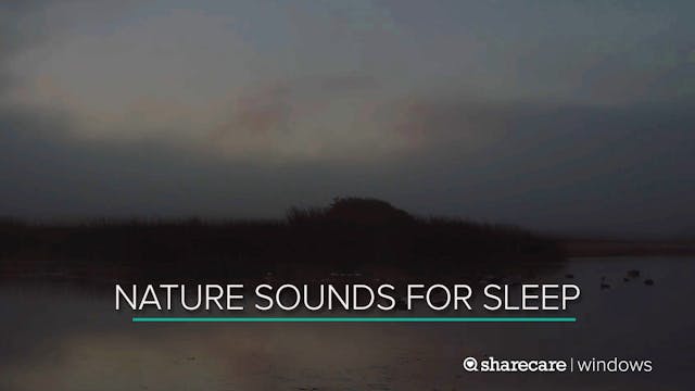 9 Hours of Nighttime Nature Sounds fo...