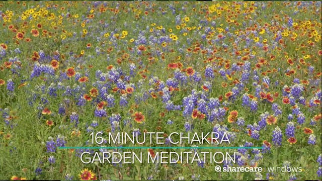 16 Minute Chakra Garden Meditation