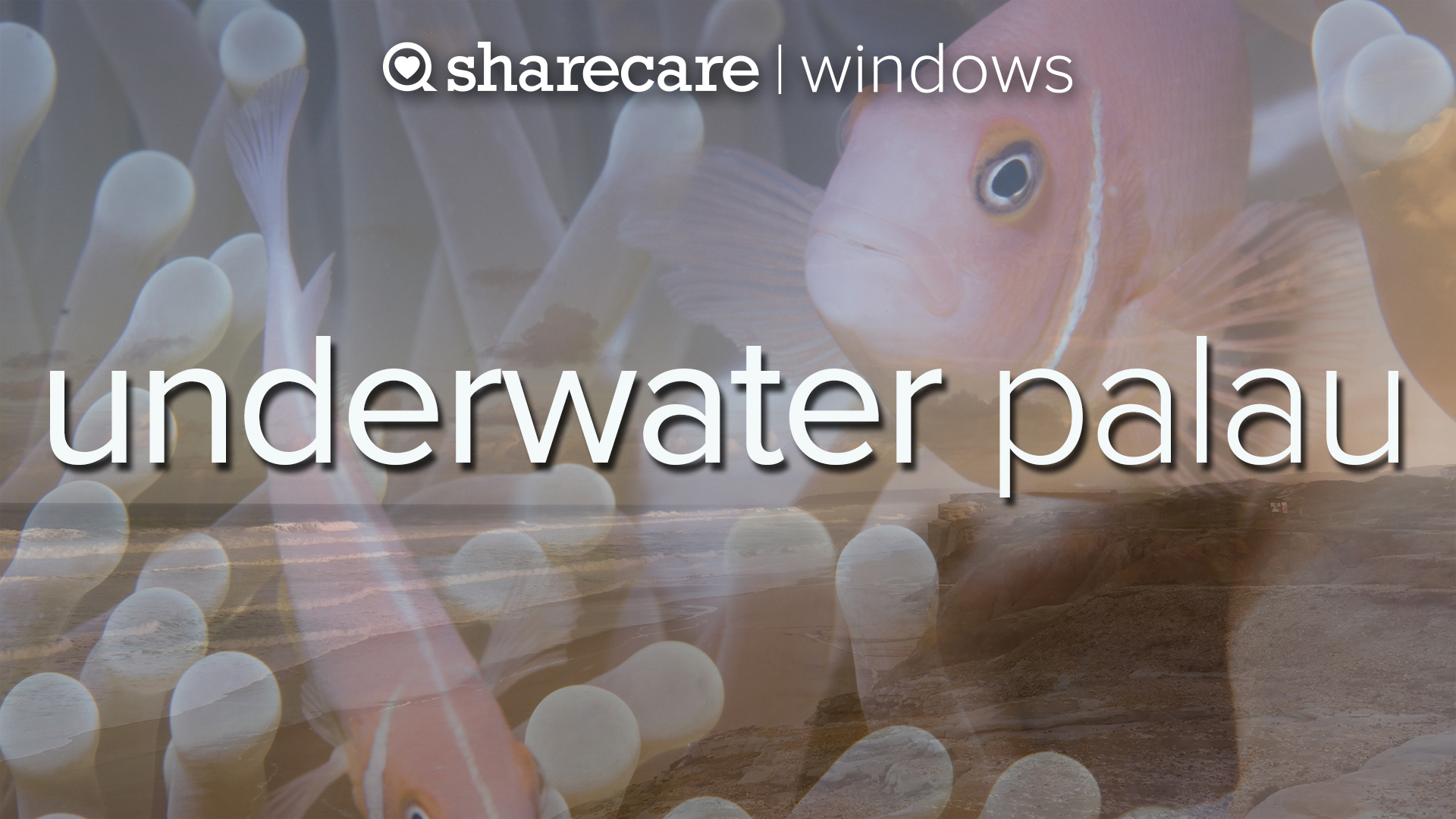 Underwater Palau natural relaxation