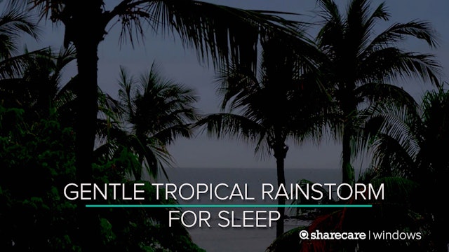 9 Hours of Gentle Tropical Rainstorm for Sleep (Ultra Low Light)