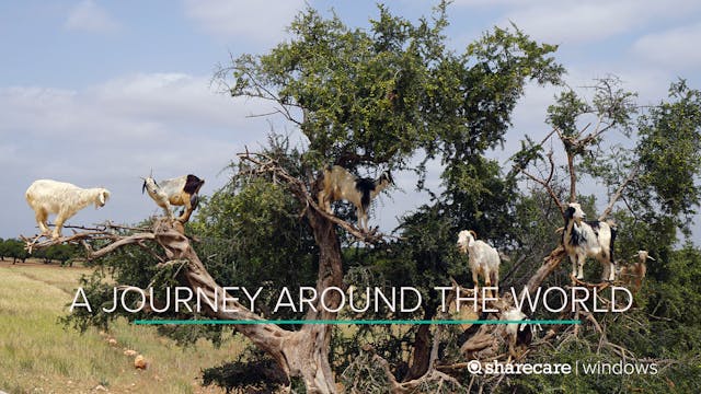 A 30-Minute Journey Around the World