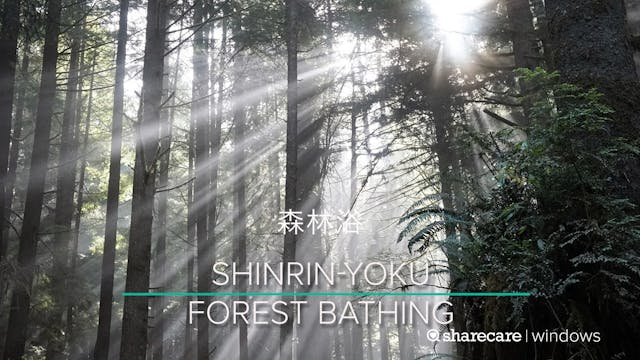 Shinrin-Yoku (Forest Bathing) 6 Minutes