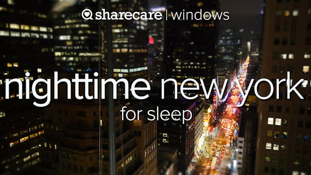 Nighttime NY Sleep for the City the N...