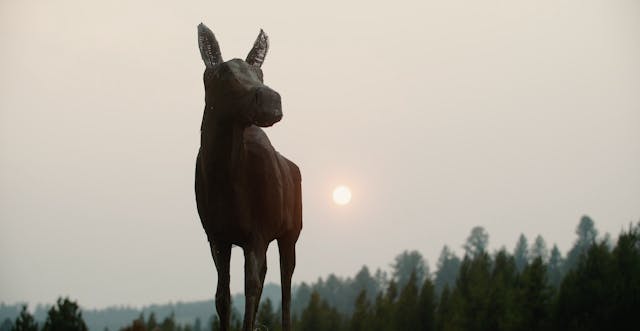 Arts Council of Big Sky