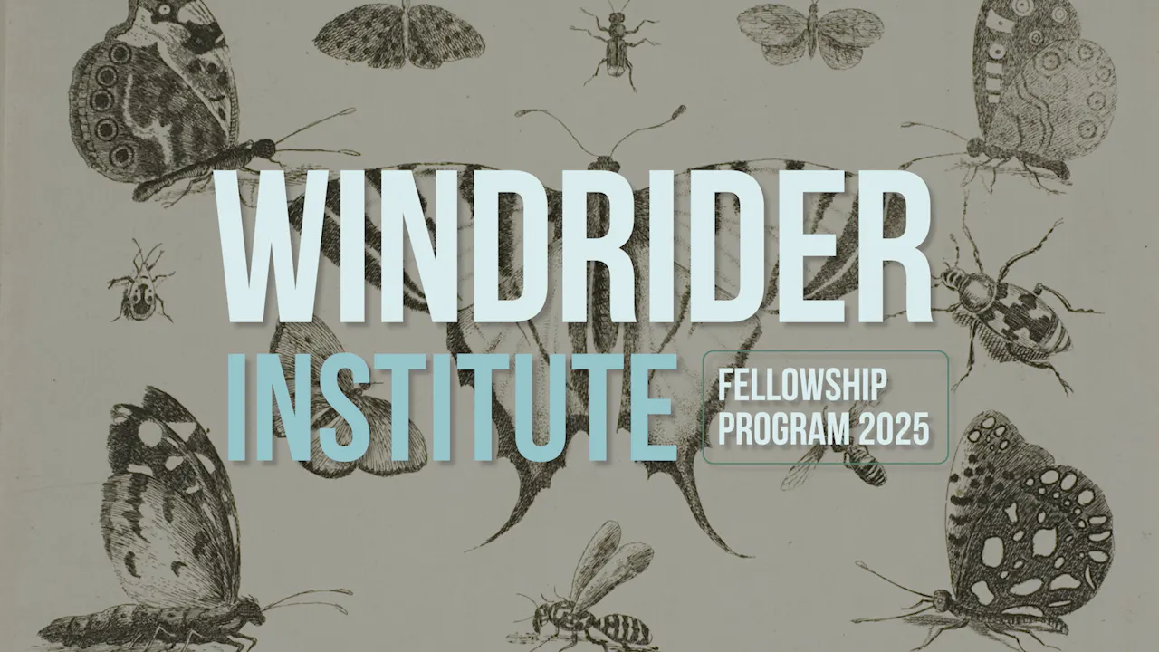 Windrider Institute Fellowship Program - Windrider Studios