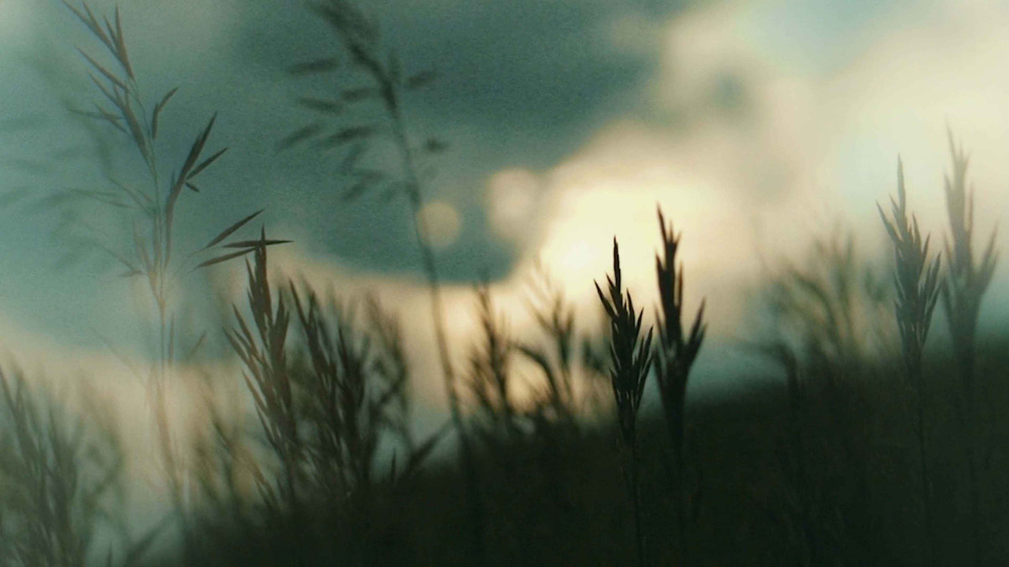 A Death Worth Living For