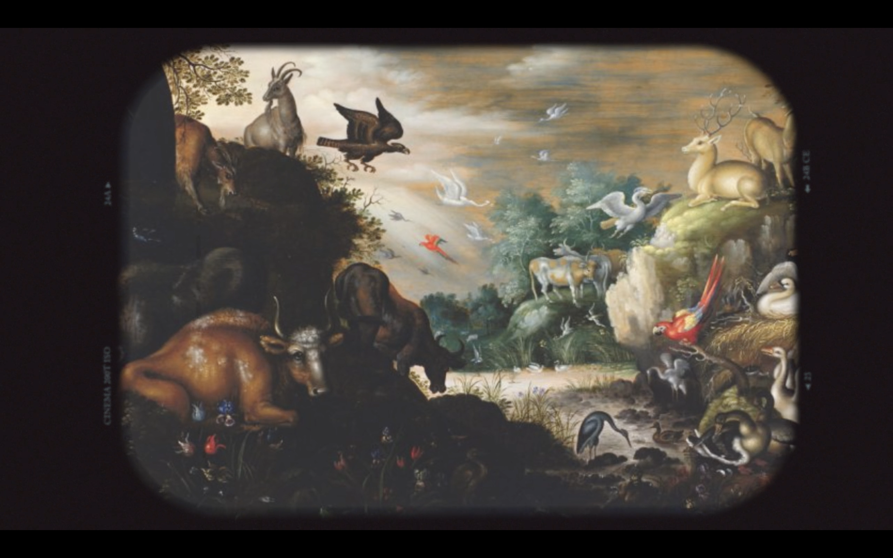 Meaning – Seeking God