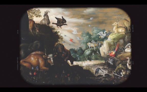 Meaning – Seeking God