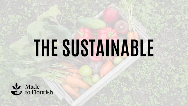 The Sustainable