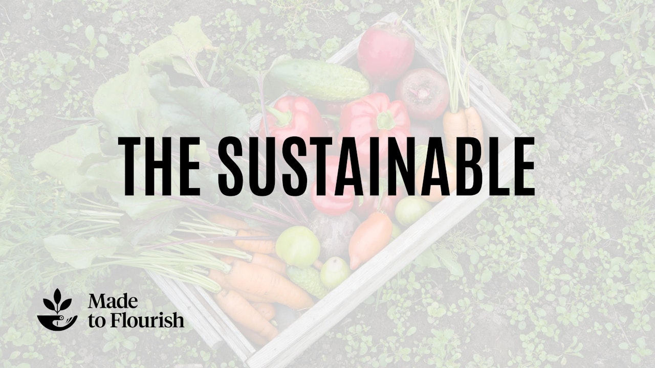 The Sustainable