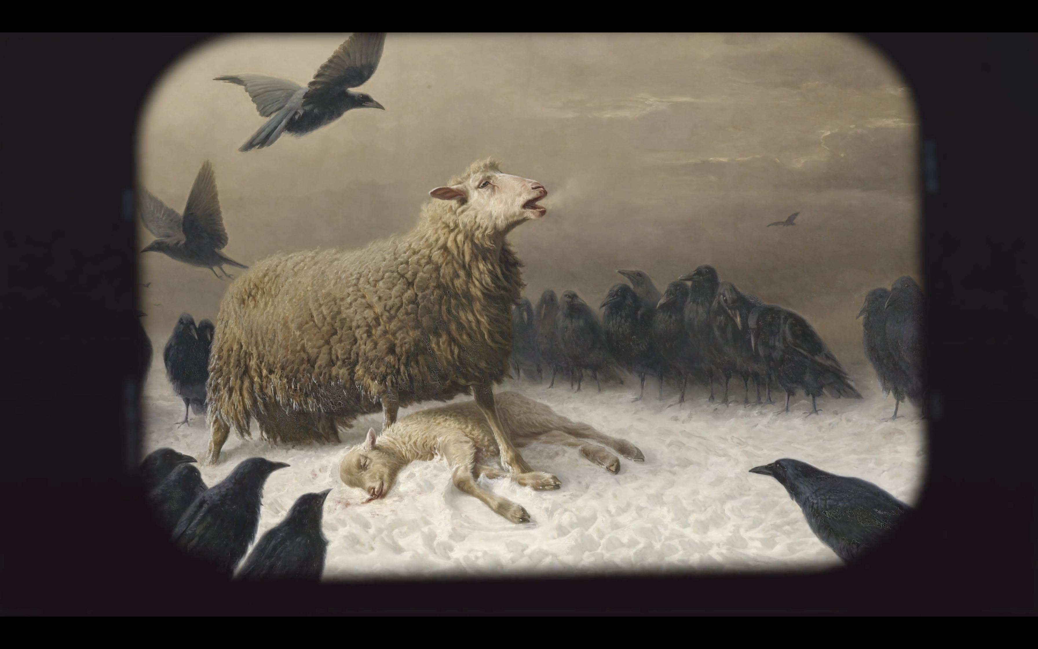 Suffering – Humility & Curiosity