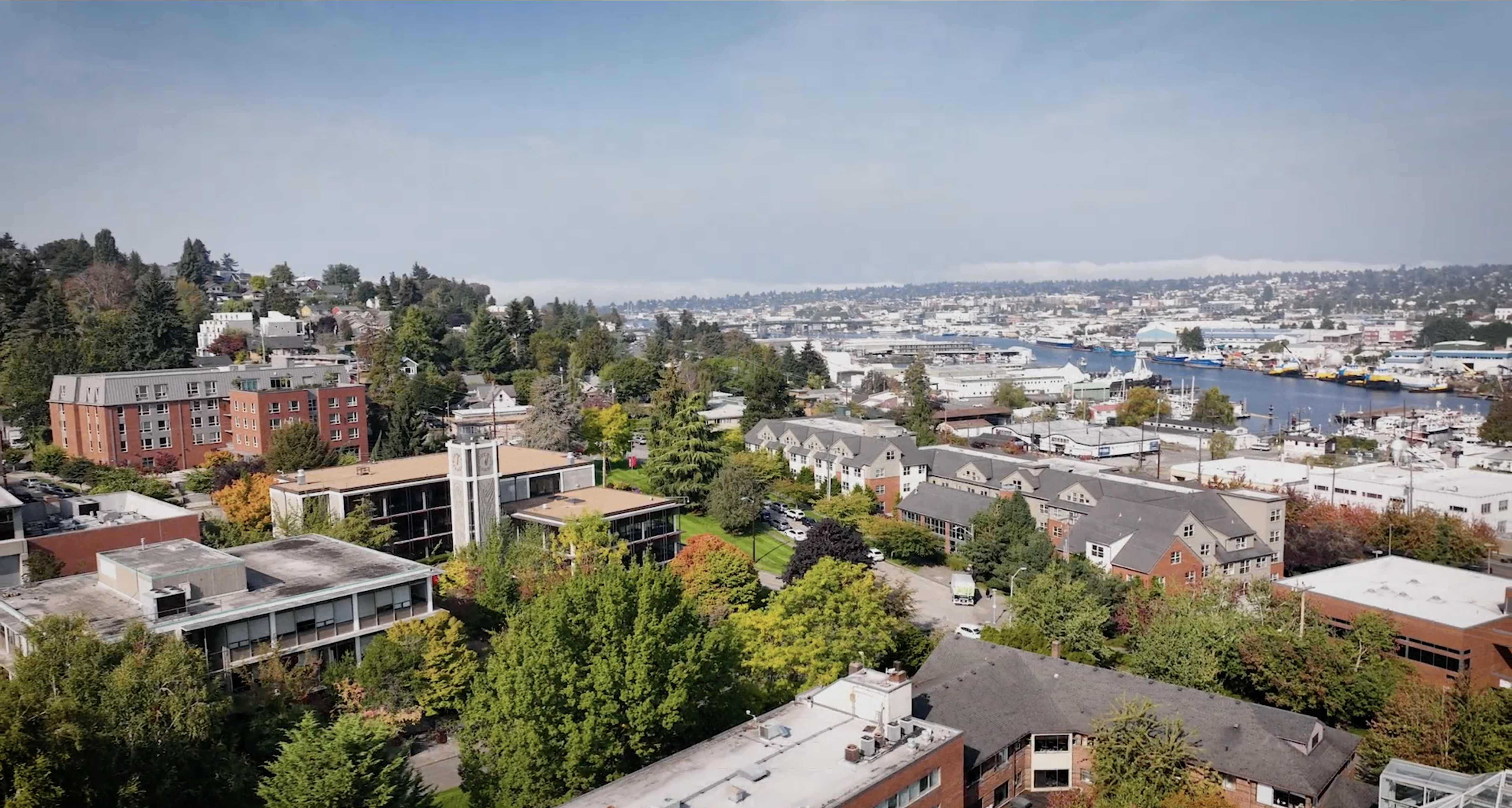 Cara Wall-Scheffler — 2022 Lynwood W. Swanson Reasearch Award