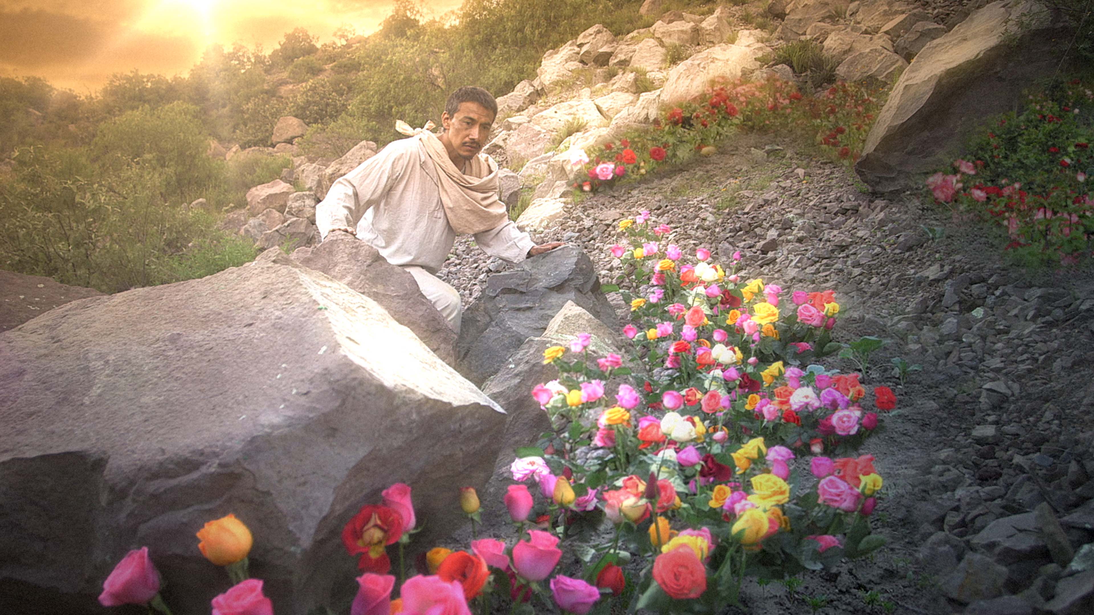 Guadalupe: The Miracle and The Message