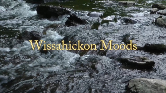 Wissahickon Moods trailer