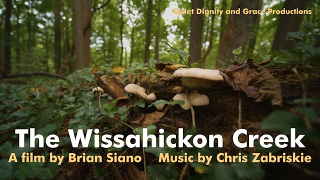 The Wissahickon Creek