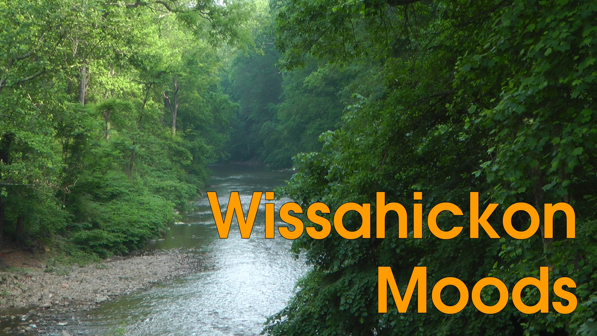Wissahickon Moods 1920x1080