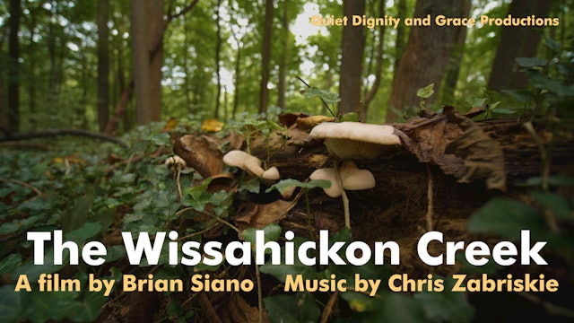 The Wissahickon Creek