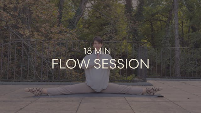 Flow Session