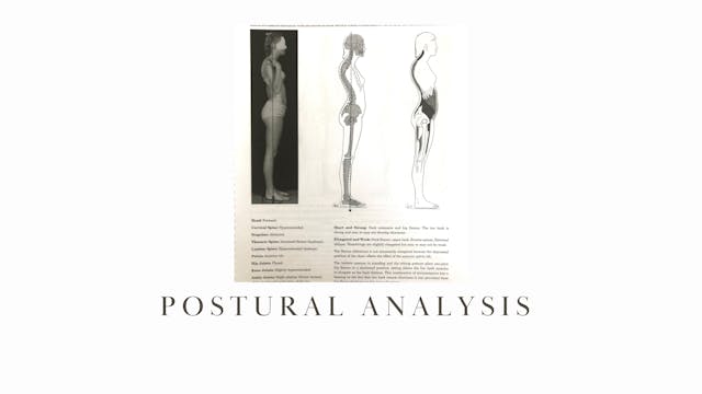 Postural Analysis