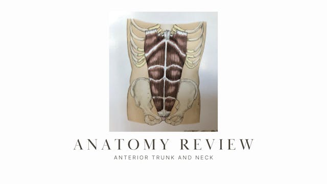 Anatomy Review & Programming for Postures