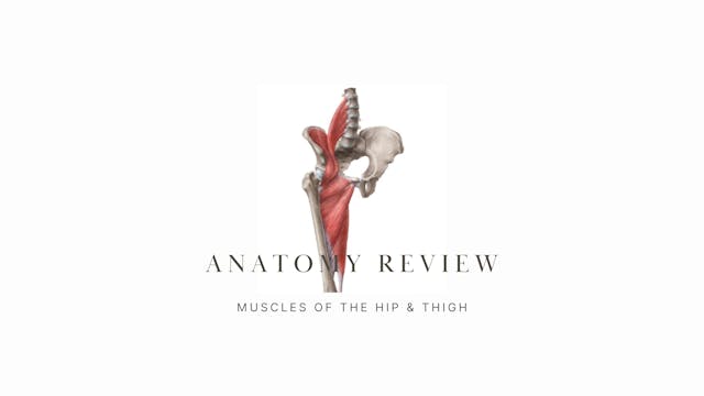 Anatomy Review: Muscles of the Hip and Thigh