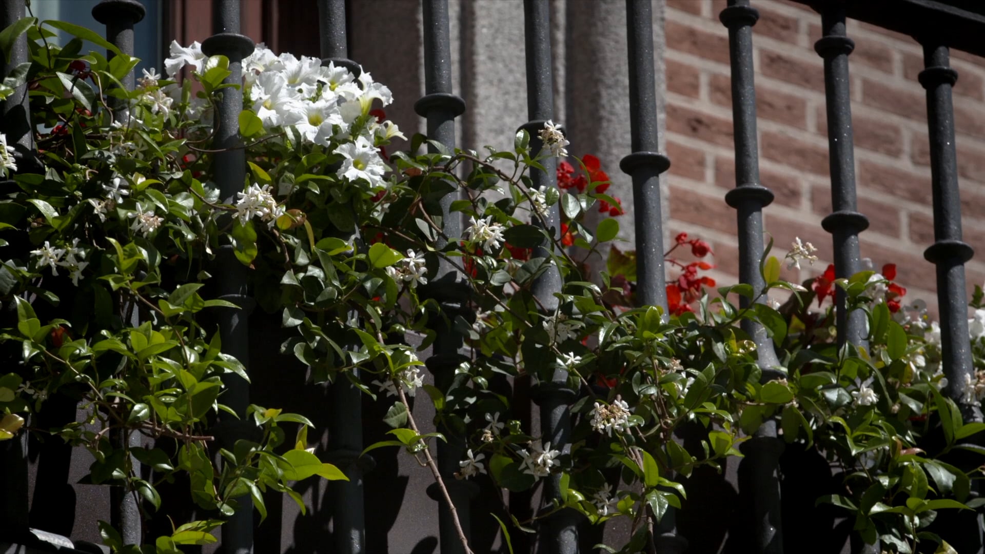 An unrelenting warrior