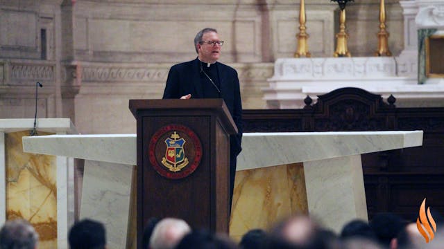 Word on Fire: A Story of Evangelizati...