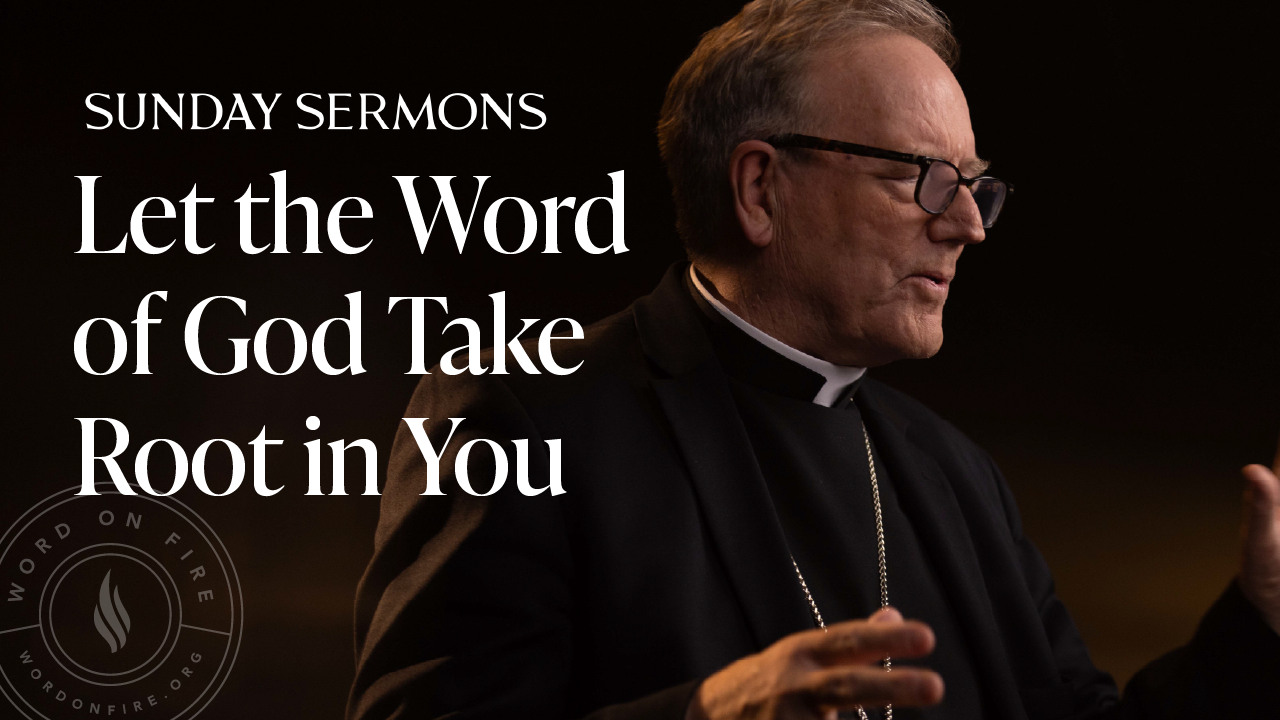 Let the Word of God Take Root in You