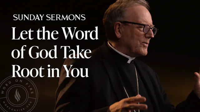 Let the Word of God Take Root in You