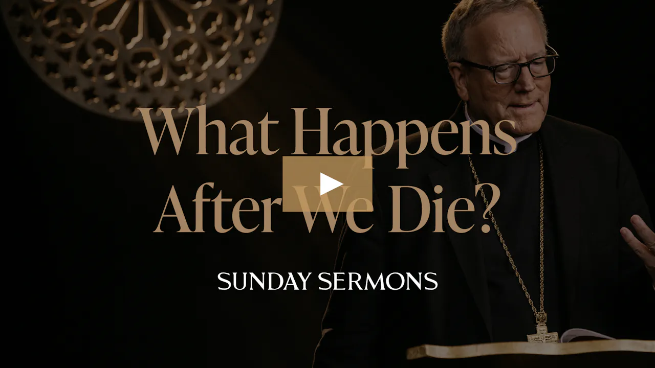 What Happens After We Die Word On Fire Digital What happens after we die word on fire digital