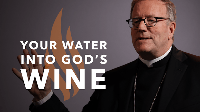 Your Water into God’s Wine — Bishop Barron’s Sunday Sermon