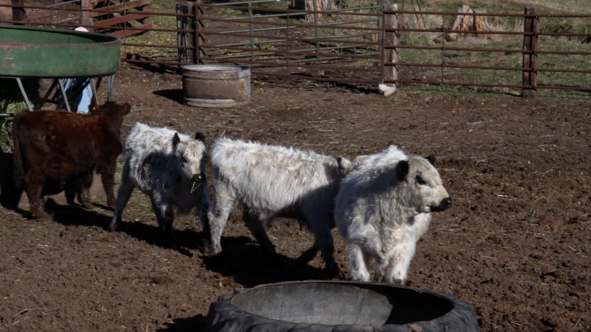 Not just on Sunday…