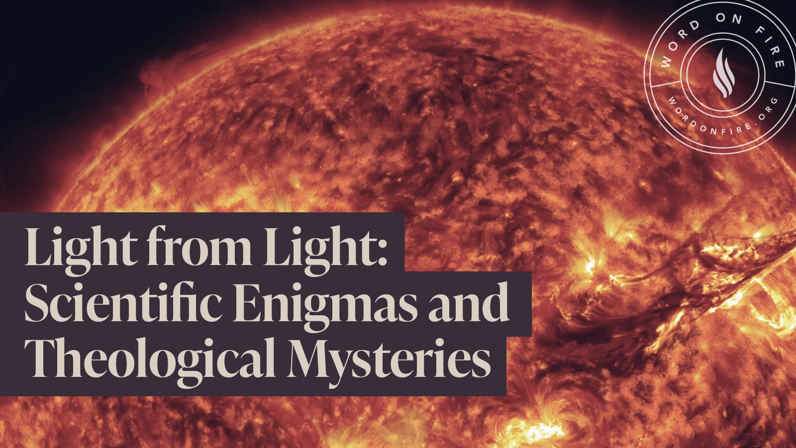 Wonder: Light from Light