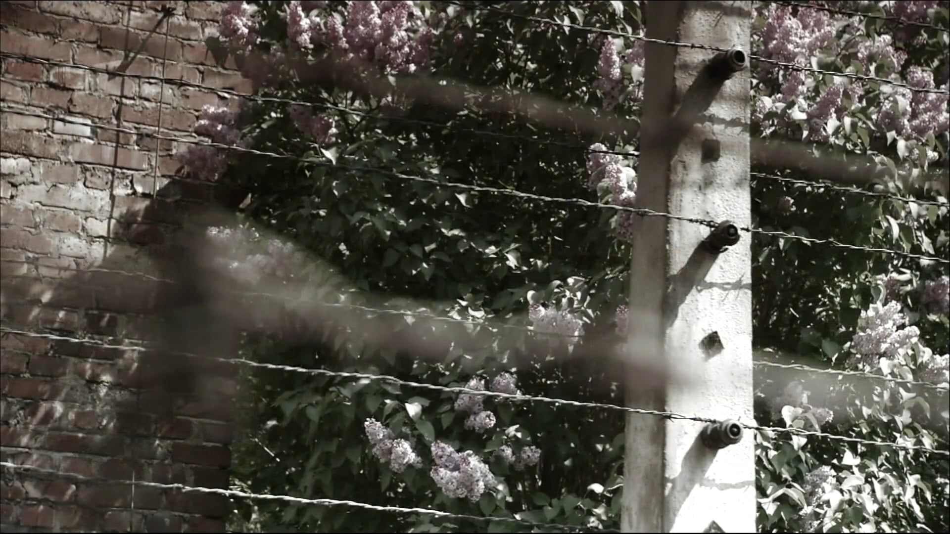 Spanish Problem of Evil - Evil & Suffering #1