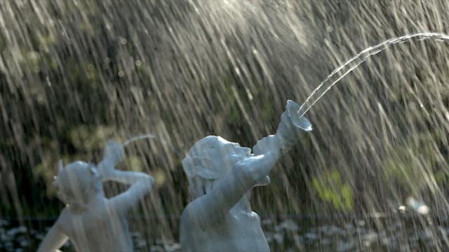 ¿Cómo la fe de Flannery impulsó sus o...