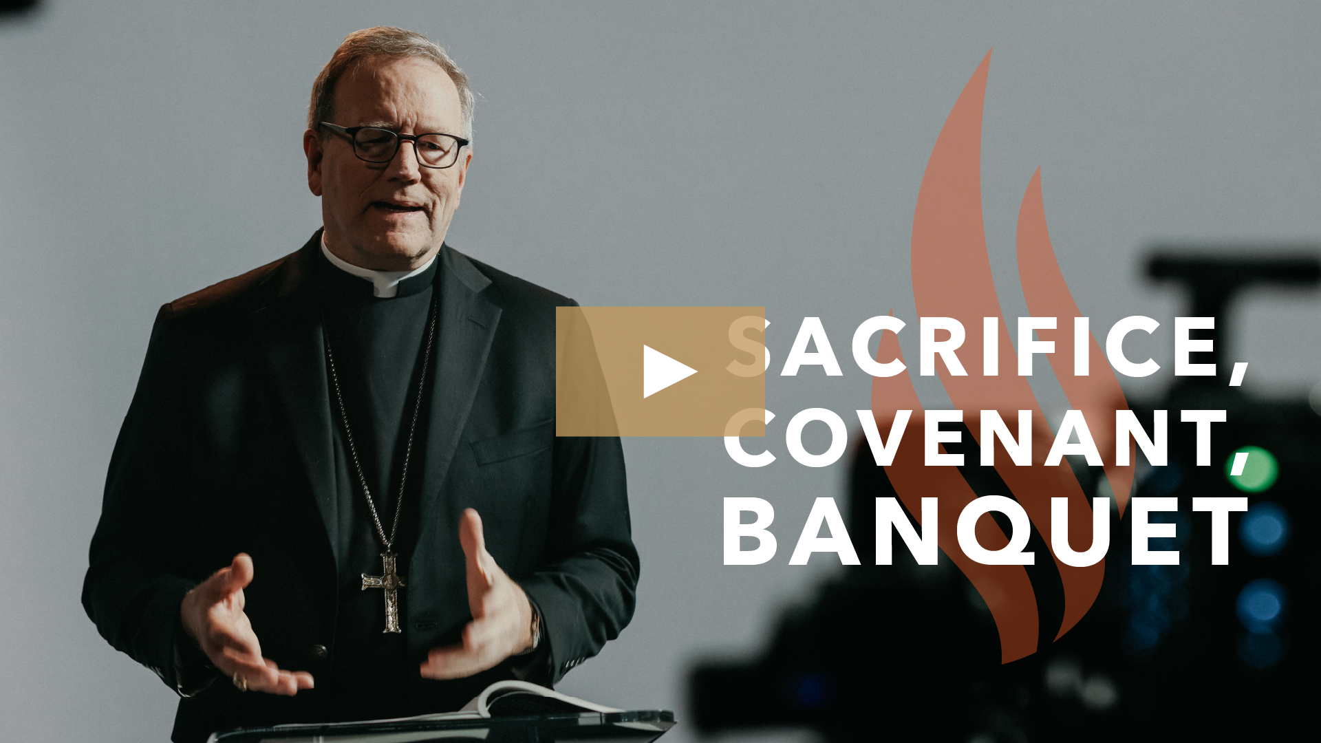 Sacrifice, Covenant, Banquet - Bishop Barron's Sunday Sermon