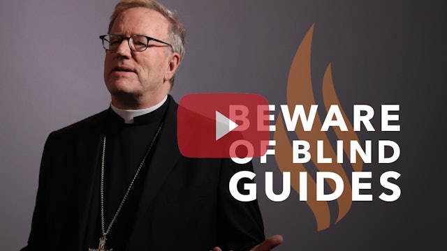 Beware of Blind Guides - Bishop Barron's Sunday Sermon