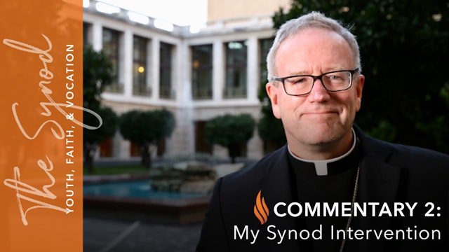 Synod 2018: My Synod Intervention