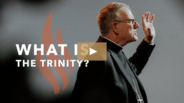 What Is the Trinity? - Bishop Barron'...