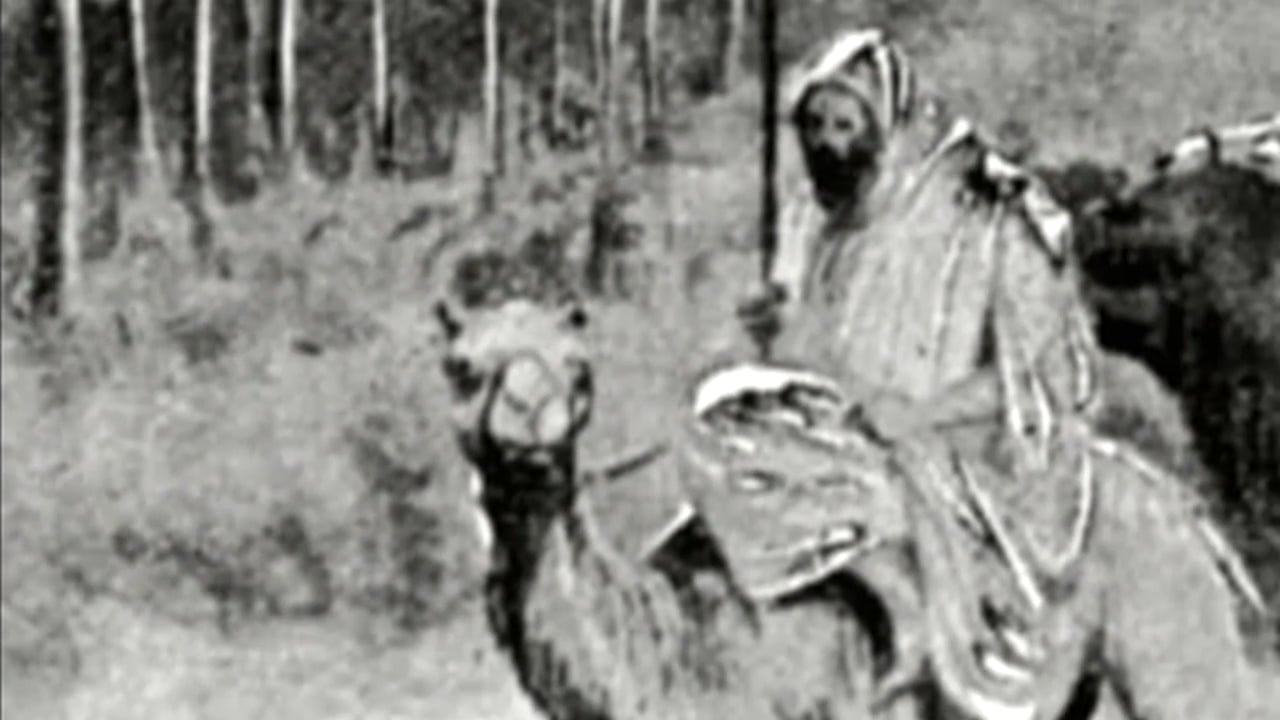 The Journey of the Magi