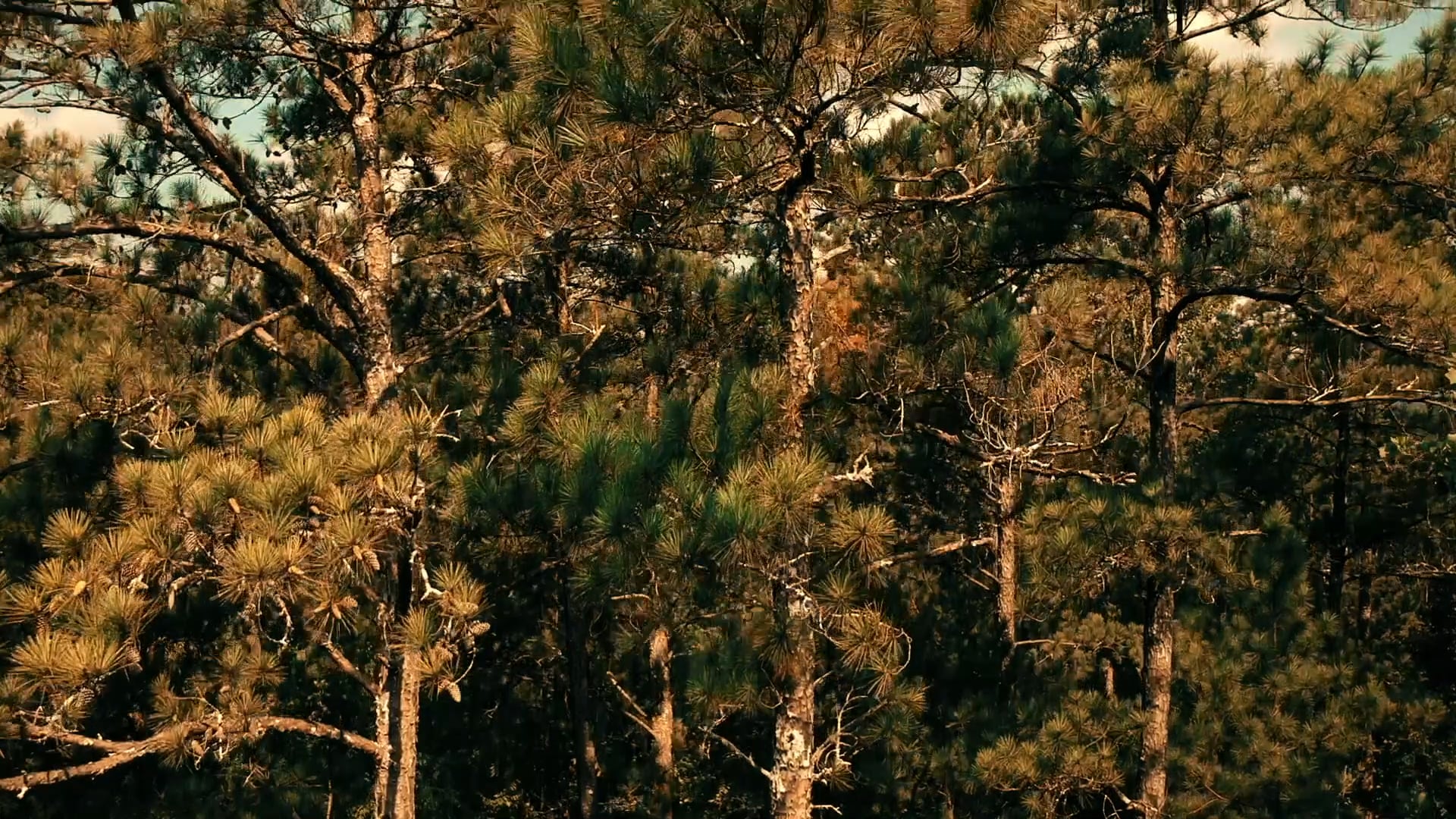 “Un hombre bueno es difícil de encontrar”