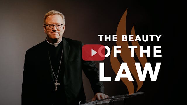 The Beauty of the Law — Bishop Barron...