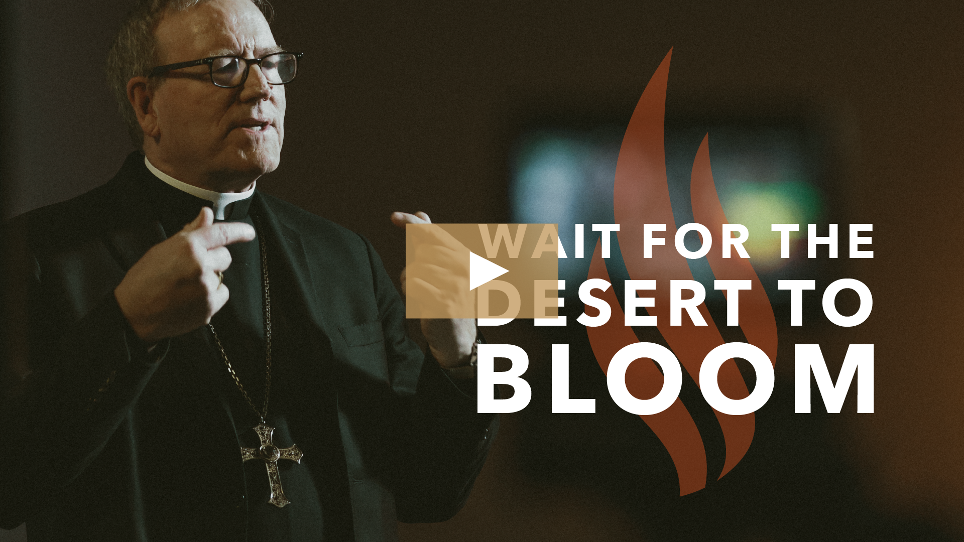 Wait for the Desert to Bloom