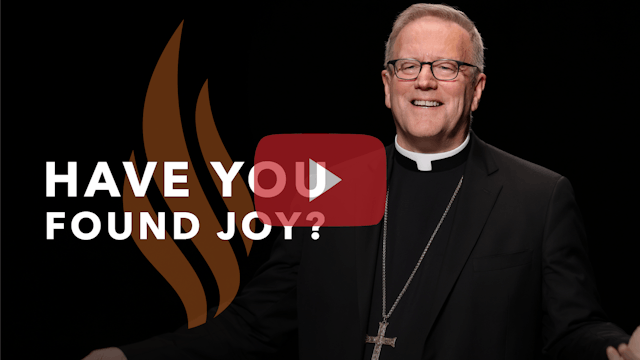 Have You Found Joy? — Bishop Barron’s...