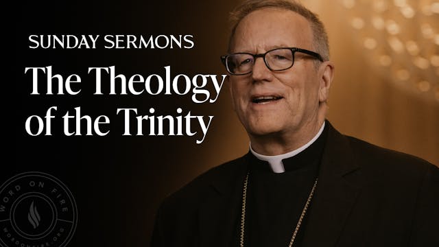 The Theology of the Trinity