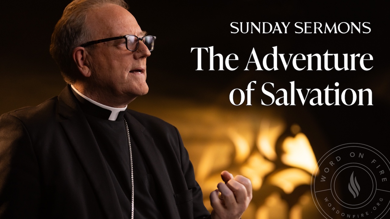 The Adventure of Salvation