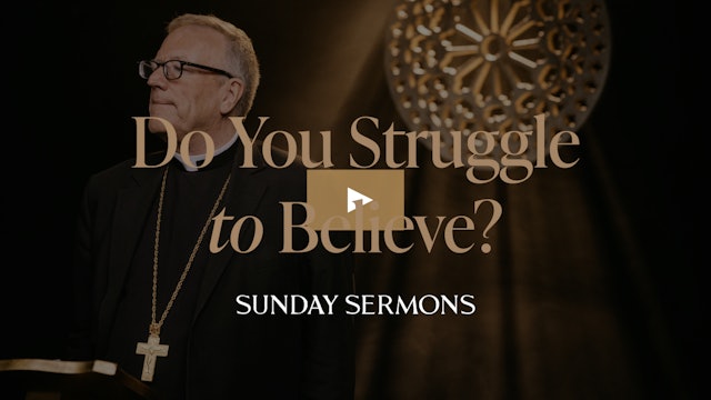 Do You Struggle to Believe - Bishop Barron's Sunday Sermon