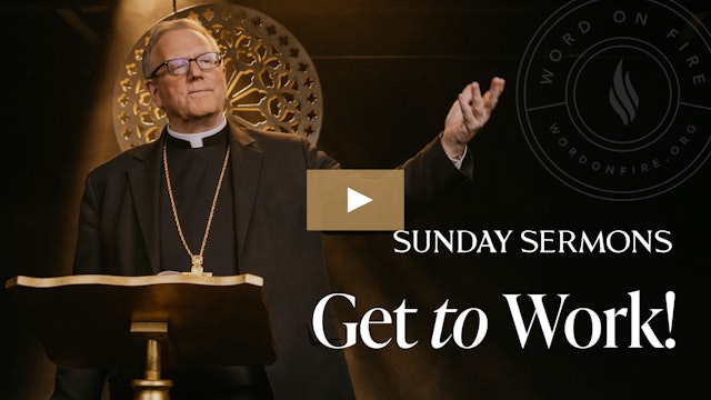 Get to Work! - Bishop Barron's Sunday Sermon
